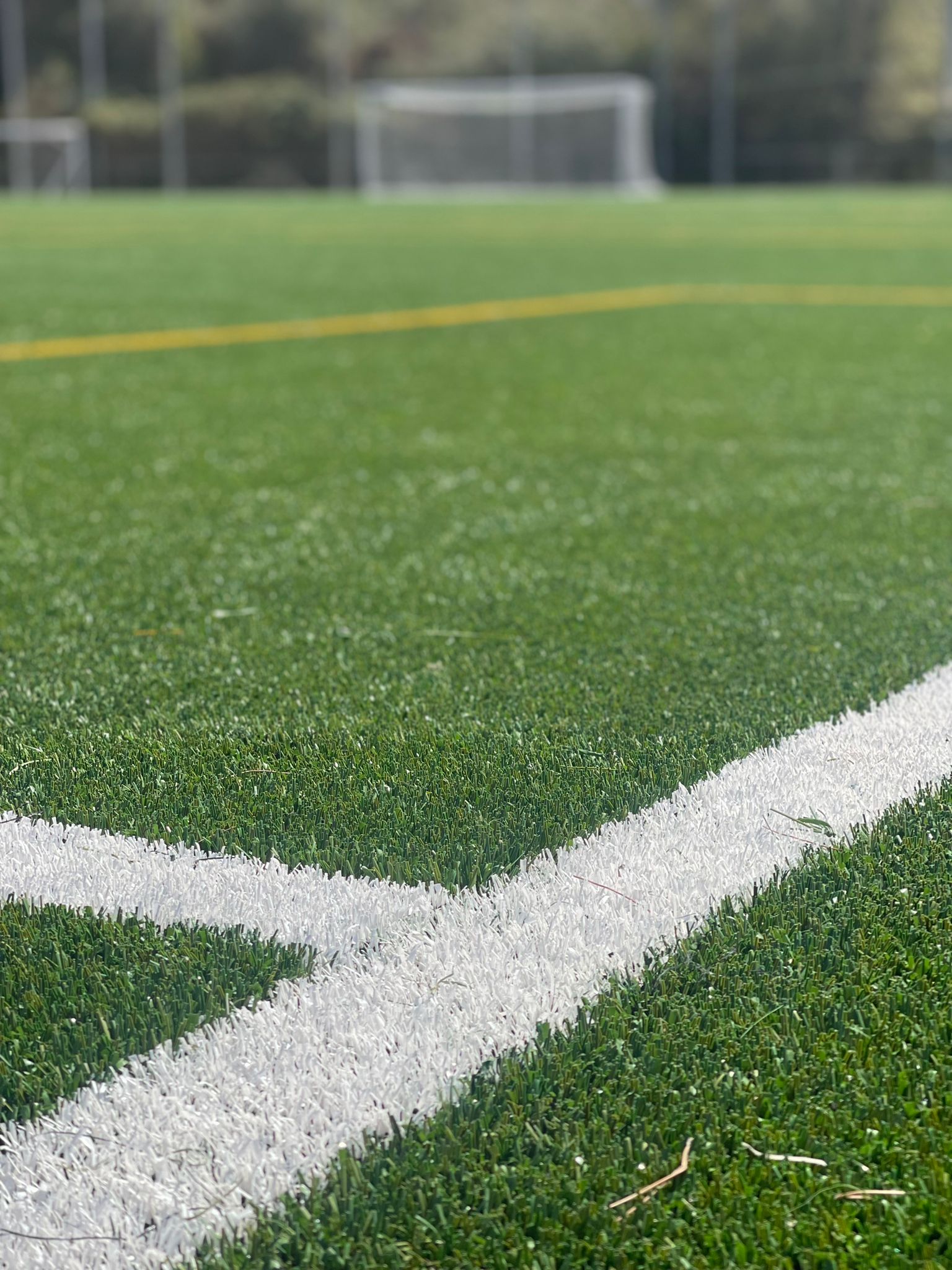Canvi de gespa i inici d’entrenaments al CEM La Bàscula