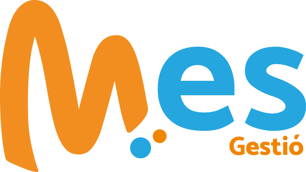 logo mes gestió color MES Gestió